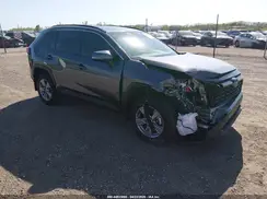 4T3RWRFV2RU114846 2024 TOYOTA RAV 4