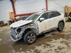 4T3RWRFV2RU117732 2024 TOYOTA RAV 4