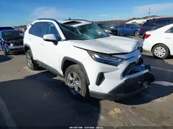4T3RWRFV2RU130089 2024 TOYOTA RAV 4