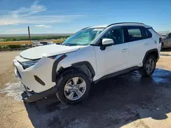 4T3RWRFV2RU135325 2024 TOYOTA RAV 4