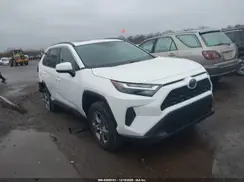 4T3RWRFV2RU138161 2024 TOYOTA RAV 4