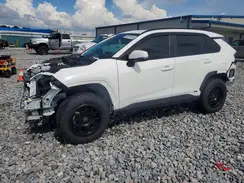 4T3RWRFV2RU141187 2024 TOYOTA RAV 4