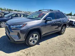 4T3RWRFV2RU143425 2024 TOYOTA RAV 4