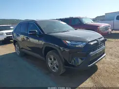 4T3RWRFV2SU177709 2025 TOYOTA RAV 4