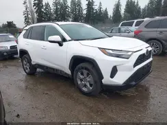 4T3RWRFV2SU192937 2025 TOYOTA RAV 4