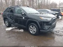 4T3RWRFV2SU195093 2025 TOYOTA RAV 4