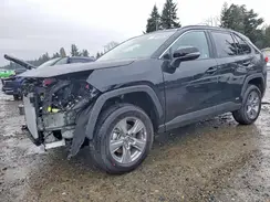 4T3RWRFV2SU211745 2025 TOYOTA RAV 4