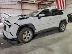 4T3RWRFV3MU032083 2021 TOYOTA RAV 4