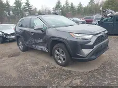 4T3RWRFV3PU099996 2023 TOYOTA RAV 4