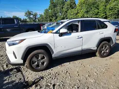 4T3RWRFV3RU133339 2024 TOYOTA RAV 4