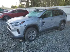 4T3RWRFV3RU136807 2024 TOYOTA RAV 4