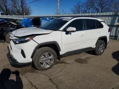 4T3RWRFV3RU142462 2024 TOYOTA RAV 4