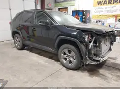 4T3RWRFV3RU150531 2024 TOYOTA RAV 4