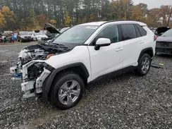 4T3RWRFV3RU157026 2024 TOYOTA RAV 4