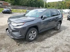 4T3RWRFV3SU177444 2025 TOYOTA RAV 4