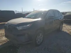 4T3RWRFV3SU189657 2025 TOYOTA RAV 4