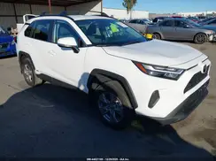 4T3RWRFV3SU198441 2025 TOYOTA RAV 4