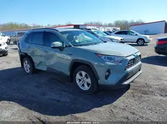 4T3RWRFV4MU020394 2021 TOYOTA RAV 4