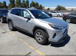 4T3RWRFV4PU103456 2023 TOYOTA RAV 4