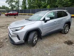 4T3RWRFV4PU106664 2023 TOYOTA RAV 4