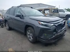 4T3RWRFV4RU111446 2024 TOYOTA RAV 4
