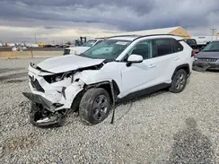 4T3RWRFV4RU113147 2024 TOYOTA RAV 4