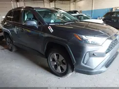 4T3RWRFV4RU117182 2024 TOYOTA RAV 4