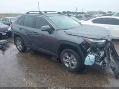 4T3RWRFV4RU118560 2024 TOYOTA RAV 4