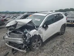 4T3RWRFV4RU134290 2024 TOYOTA RAV 4