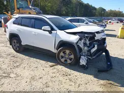 4T3RWRFV4RU135522 2024 TOYOTA RAV 4