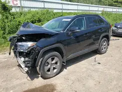 4T3RWRFV4RU143619 2024 TOYOTA RAV 4