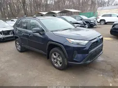 4T3RWRFV4RU144883 2024 TOYOTA RAV 4