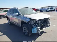 4T3RWRFV4RU147136 2024 TOYOTA RAV 4