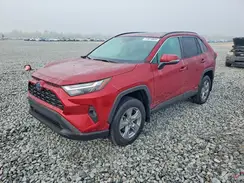 4T3RWRFV4RU156919 2024 TOYOTA RAV 4