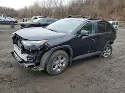4T3RWRFV4RU159447 2024 TOYOTA RAV 4
