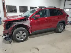 4T3RWRFV4SU170406 2025 TOYOTA RAV 4