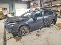 4T3RWRFV4SU171166 2025 TOYOTA RAV 4