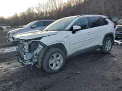 4T3RWRFV5MU033977 2021 TOYOTA RAV 4