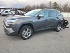 4T3RWRFV5NU053339 2022 TOYOTA RAV 4