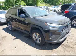 4T3RWRFV5PU095299 2023 TOYOTA RAV 4