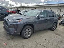 4T3RWRFV5PU103515 2023 TOYOTA RAV 4