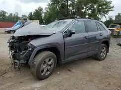 4T3RWRFV5RU111634 2024 TOYOTA RAV 4