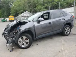 4T3RWRFV5RU117790 2024 TOYOTA RAV 4
