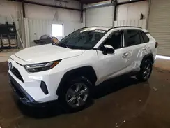 4T3RWRFV5RU119667 2024 TOYOTA RAV 4
