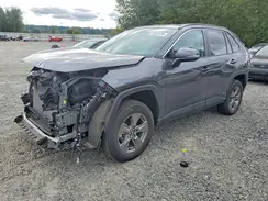 4T3RWRFV5RU123833 2024 TOYOTA RAV 4