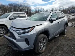 4T3RWRFV5RU126036 2024 TOYOTA RAV 4