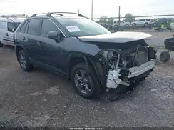 4T3RWRFV5RU129003 2024 TOYOTA RAV 4