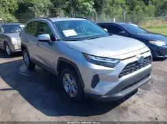 4T3RWRFV5RU162955 2024 TOYOTA RAV 4