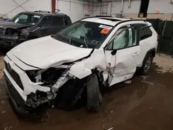 4T3RWRFV5SU186839 2025 TOYOTA RAV 4