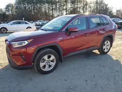 4T3RWRFV6LU005538 2020 TOYOTA RAV 4